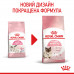 Корм для новонароджених кошенят та кішок під час вагітності ROYAL CANIN MOTHER & BABYCAT 10 кг