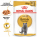 Вологий корм для дорослих котів ROYAL CANIN BRITISH SHORTHAIR ADULT 85 г * 12 шт блок