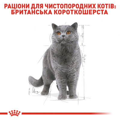 Вологий корм для дорослих котів ROYAL CANIN BRITISH SHORTHAIR ADULT 85 г * 12 шт блок