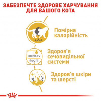 Вологий корм для дорослих котів ROYAL CANIN BRITISH SHORTHAIR ADULT 85 г * 12 шт блок