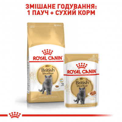 Вологий корм для дорослих котів ROYAL CANIN BRITISH SHORTHAIR ADULT 85 г * 12 шт блок
