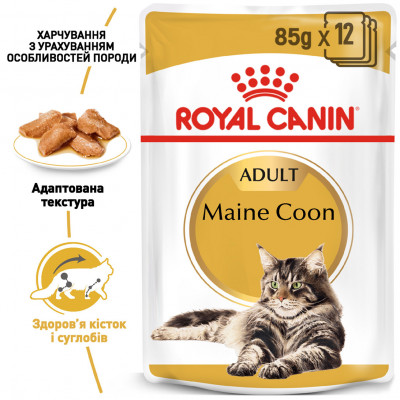 Вологий корм для дорослих котів ROYAL CANIN MAINECOON ADULT 85 г * 12 шт блок