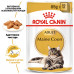 Вологий корм для дорослих котів ROYAL CANIN MAINECOON ADULT 85 г * 12 шт блок