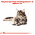 Вологий корм для дорослих котів ROYAL CANIN MAINECOON ADULT 85 г * 12 шт блок