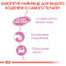 Вологий корм для новонароджених кошенят ROYAL CANIN MOTHER & BABYCAT Cans 195 г