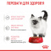 Вологий корм для кошенят ROYAL CANIN KITTEN IN GRAVY 85 г * 12 шт