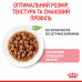 Вологий корм для кошенят ROYAL CANIN KITTEN IN GRAVY 85 г * 12 шт