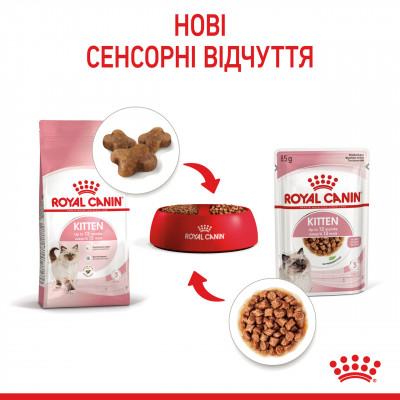 Вологий корм для кошенят ROYAL CANIN KITTEN IN GRAVY 85 г * 12 шт