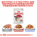 Вологий корм для дорослих котів ROYAL CANIN INSTINCTIVE IN JELLY 85 г * 12 шт блок
