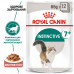 Вологий корм для дорослих котів ROYAL CANIN INSTINCTIVE 7+ 85 г * 12 шт