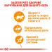 Вологий корм для дорослих котів ROYAL CANIN INTENSE BEAUTY IN GRAVY 85 г * 12 шт блок
