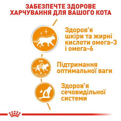 Вологий корм для дорослих  котів ROYAL CANIN INTENSE BEAUTY IN JELLY 85 г * 12 шт блок