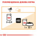 Вологий корм для дорослих  котів ROYAL CANIN INTENSE BEAUTY IN JELLY 85 г * 12 шт блок