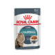 Вологий корм для дорослих котів ROYAL CANIN HAIRBALL CARE 85 г * 12 шт блок