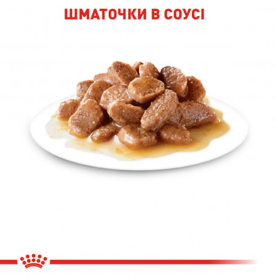 Вологий корм для дорослих  котів ROYAL CANIN DIGEST SENSITIVE  85 г *1 2 шт блок