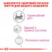 Молоко для новонароджених кошенят ROYAL CANIN BABYCAT MILK 300 г