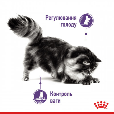 Влажный корм для взрослых кошек ROYAL CANIN APPETITE CONTROL CARE кусочки в соусе 85 г * 12 шт блок
