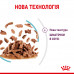 Вологий корм для дорослих котів ROYAL CANIN SENSORY FEEL GRAVY 85 г * 12 шт блок