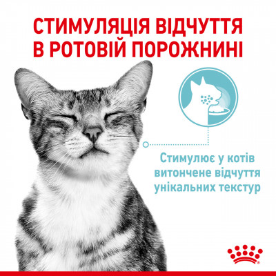 Вологий корм для дорослих котів ROYAL CANIN SENSORY FEEL JELLY 85 г * 12 шт блок