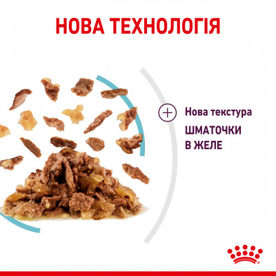 Вологий корм для дорослих котів ROYAL CANIN SENSORY FEEL JELLY 85 г * 12 шт блок