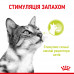 Вологий корм для дорослих котів ROYAL CANIN SENSORY SMELL GRAVY 85 г * 12 шт блок