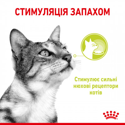 Вологий корм для дорослих котів ROYAL CANIN SENSORY SMELL JELLY 85 г * 12 шт блок