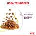 Вологий корм для дорослих котів ROYAL CANIN SENSORY SMELL JELLY 85 г * 12 шт блок