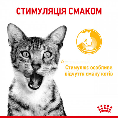 Вологий корм для дорослих котів ROYAL CANIN SENSORY TASTE JELLY 85 г * 12 шт блок
