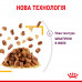 Вологий корм для дорослих котів ROYAL CANIN SENSORY TASTE JELLY 85 г * 12 шт блок