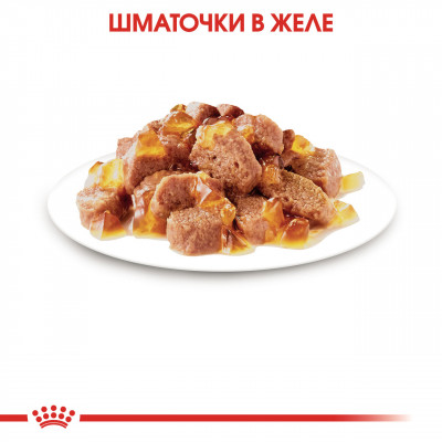 Вологий корм для дорослих стерилізованих котів ROYAL CANIN STERILISED IN JELLY 85 г * 12 шт блок