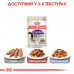 Вологий корм для дорослих стерилізованих котів ROYAL CANIN STERILISED IN JELLY 85 г * 12 шт блок