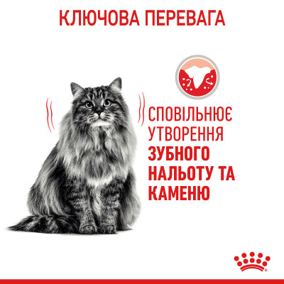 Корм для котів ROYAL CANIN DENTAL CARE 400 г