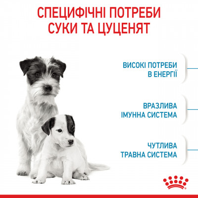 Корм для новонароджених собак ROYAL CANIN MINI STARTER 8 кг