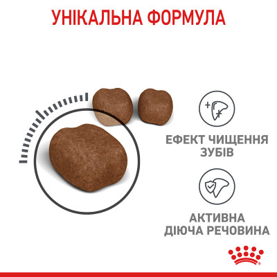 Корм для кошек ROYAL CANIN DENTAL CARE 8 кг