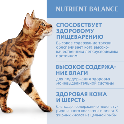 OPTIMEAL Вологий корм для котів з тріскою і овочами в желе 12х85 гр