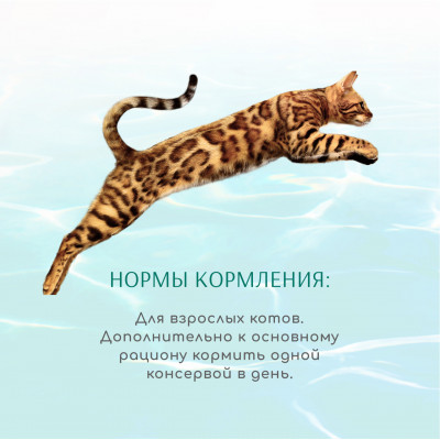 OPTIMEAL Вологий корм для кішок "Смугастий тунець із креветками в соусі" 70 г