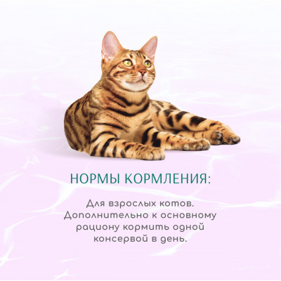 OPTIMEAL Вологий корм для кішок "Смугастий тунець у желе з морськими водоростями" 70 г