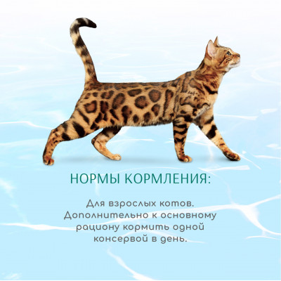 OPTIMEAL Вологий корм для кішок "Смугастий тунець у соусі з кільцями кальмарів" 70 г