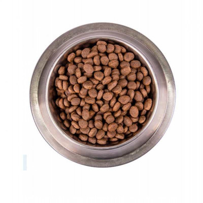 Monge dog BWild Grain free анчоус 2.5 кг