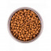 Monge cat BWild Grain free буйвол (для котів великих порід з 2-х місяців) 1.5 кг