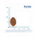 Monge cat BWild Low Grain анчоус 10 кг