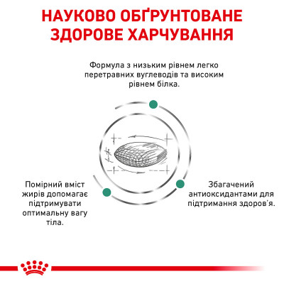 Корм для дорослих котів ROYAL CANIN DIABETIC CAT 400 г