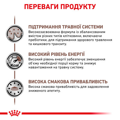 Корм для дорослих котів ROYAL CANIN GASTRO INTESTINAL CAT 2 кг