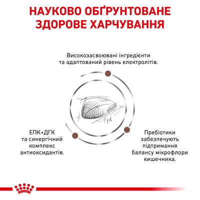 Корм для дорослих котів ROYAL CANIN GASTRO INTESTINAL CAT 4 кг