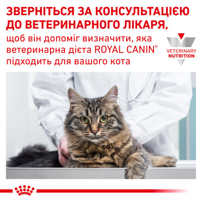 Корм для дорослих котів ROYAL CANIN GASTRO INTESTINAL CAT 4 кг