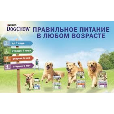 Сухий корм Purina Dog Chow Puppy Lamb для цуценят зі смаком ягняти 2.5 кг
