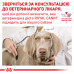 Влажный корм для взрослых собак ROYAL CANIN HEPATIC DOG Cans 420 г * 12 шт