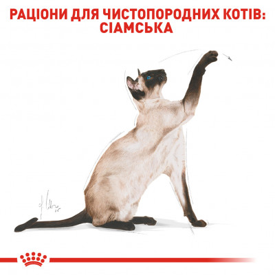 Корм для дорослих кішок ROYAL CANIN SIAMESE ADULT 2 кг