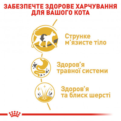 Корм для дорослих кішок ROYAL CANIN SIAMESE ADULT 2 кг