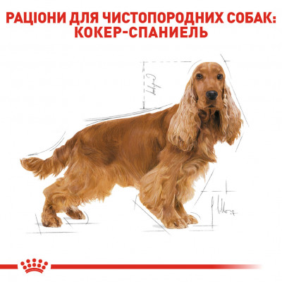 Корм для дорослих собак ROYAL CANIN COCKER ADULT 3.0 кг